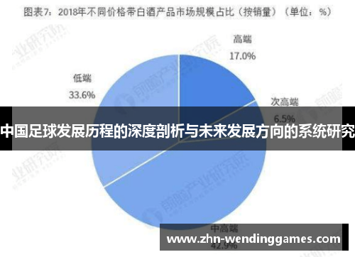 中国足球发展历程的深度剖析与未来发展方向的系统研究 中国足球发展历程的深度剖析与未来发展方向的系统研究