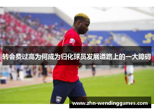 转会费过高为何成为归化球员发展道路上的一大障碍 转会费过高为何成为归化球员发展道路上的一大障碍